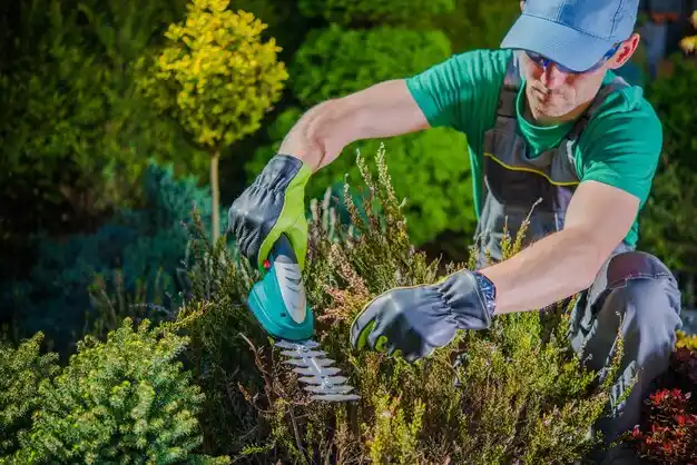 landscaping services Rich Hill